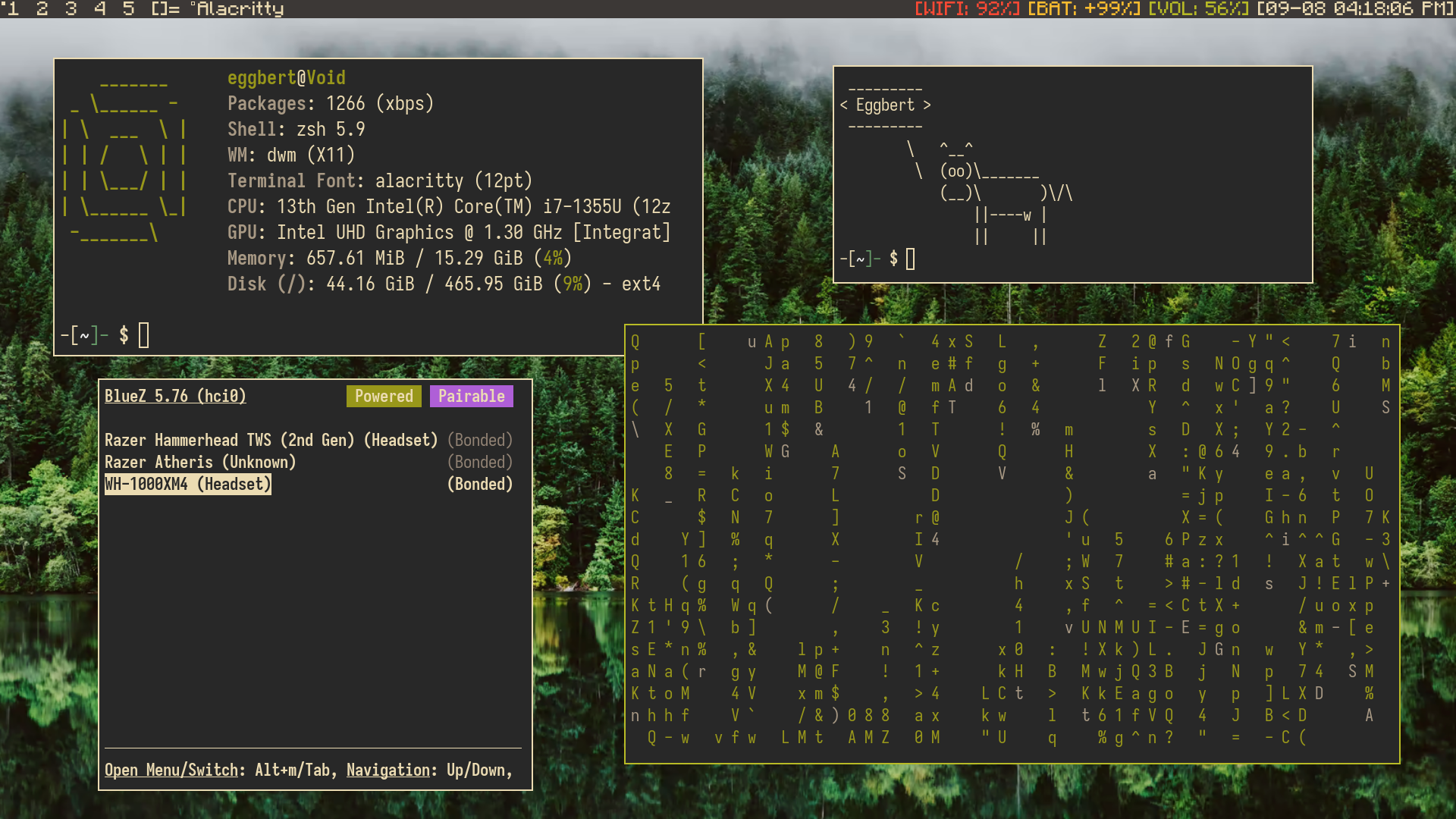 dwm void linux desktop with w minecraft code