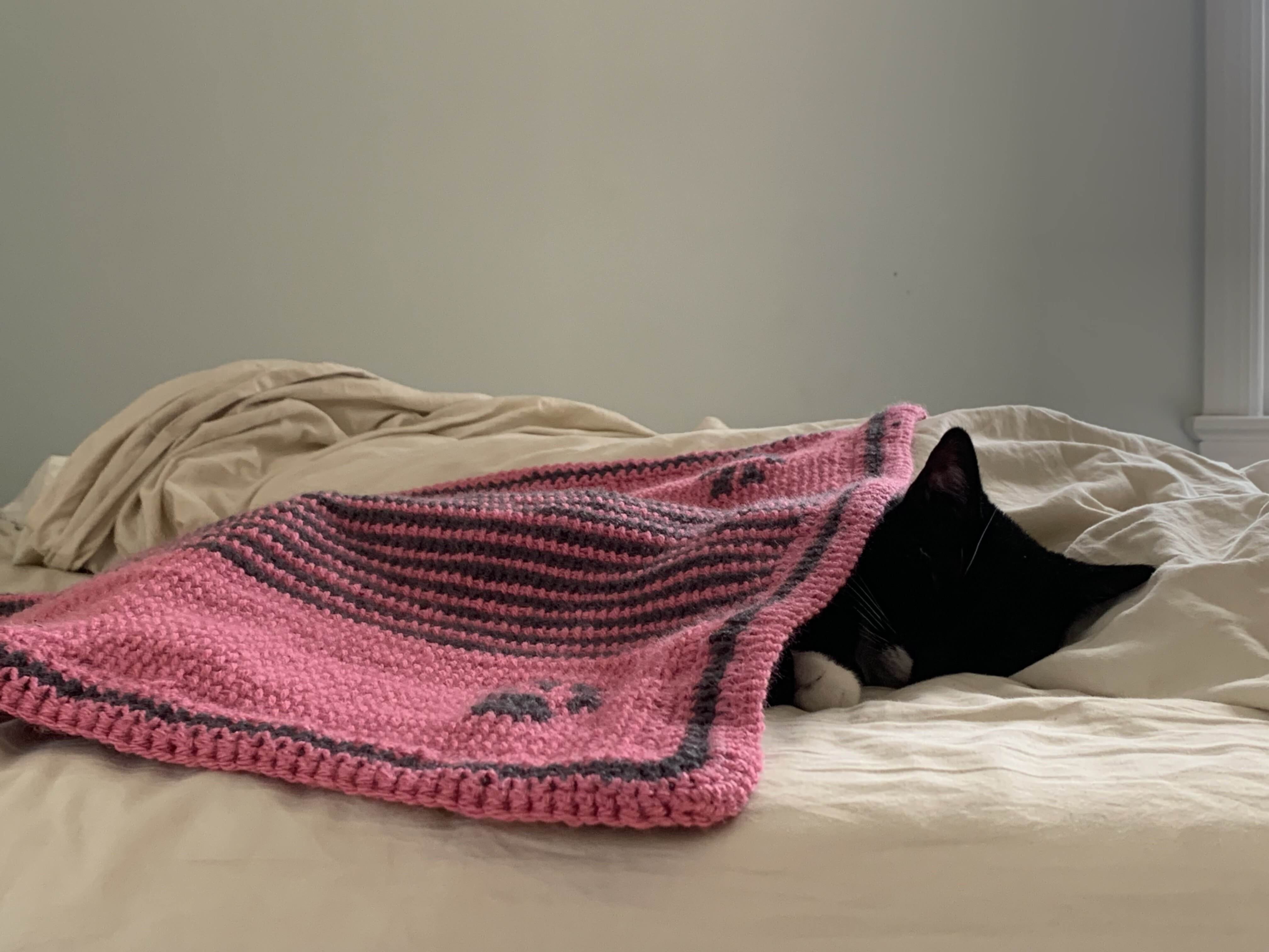 Olivia Sleeping