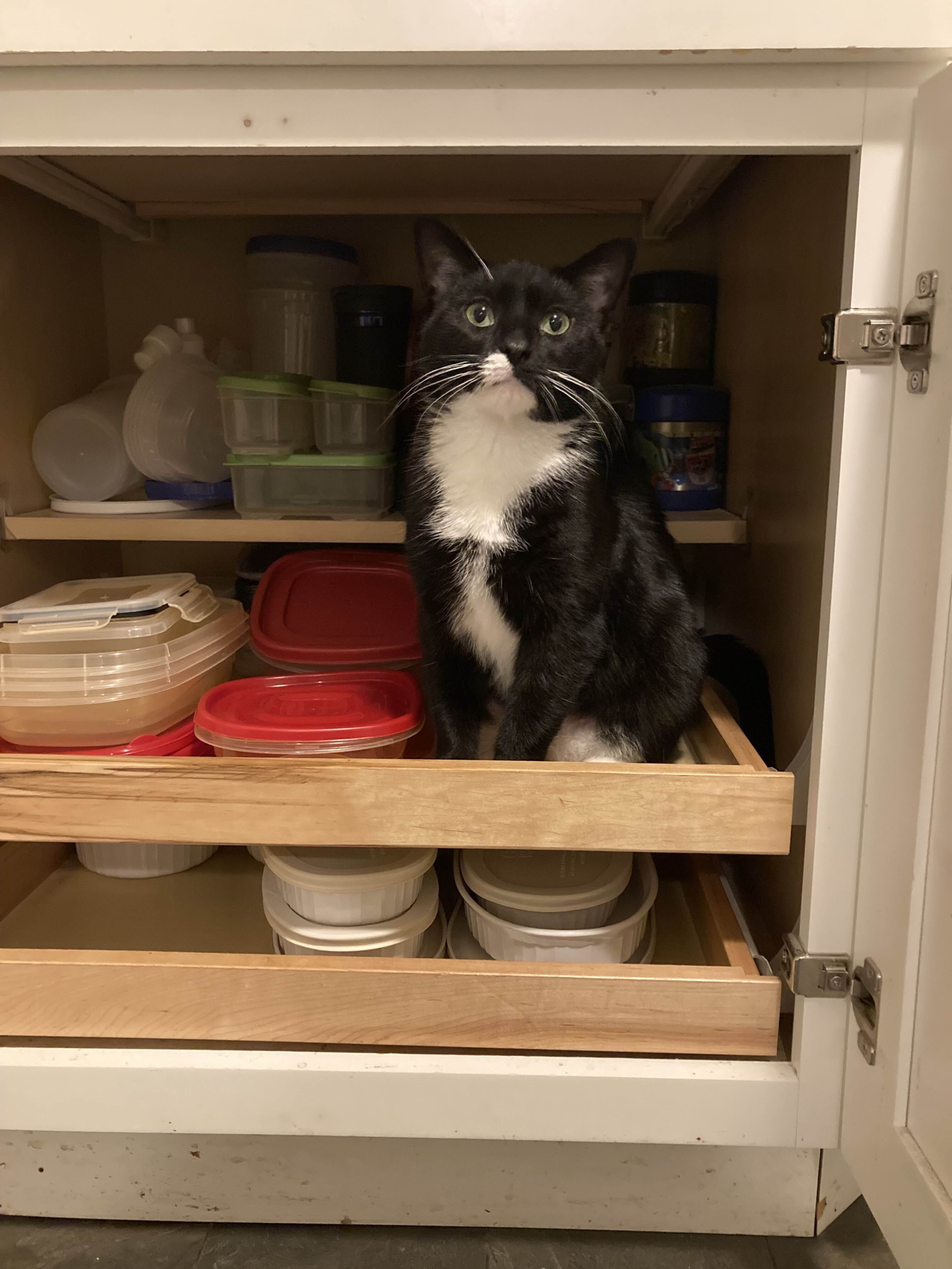 Olivia Being Tupperwear